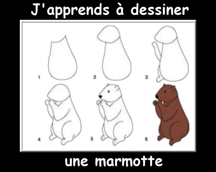 Des Fiches J'Apprends À Dessiner Les Animaux | Marmotte pour Dessin De Marmotte