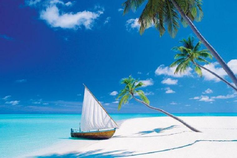 Description Visuwall Livraison Ref 25300 Mise À L Échelle pour Dessin D Ile Paradisiaque Description Visuwall Livraison Ref 25300 Mise À L Échelle pour Dessin D Ile Paradisiaque