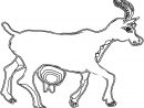Dessin #1320 - Coloriage Chèvre À Imprimer - Oh-Kids concernant Dessin De Chevre