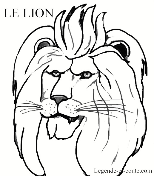 Dessin À Colorier Lionceau destiné Coloriage Lionne