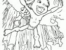 Dessin À Imprimer Du Net - Coloriage Tarzan encequiconcerne Dessin De Tarzan