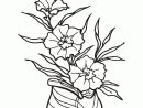 Dessin Bouquet De Fleurs Gratuit - L'Atelier Des Fleurs pour Coloriage Bouquet De Fleurs A Imprimer