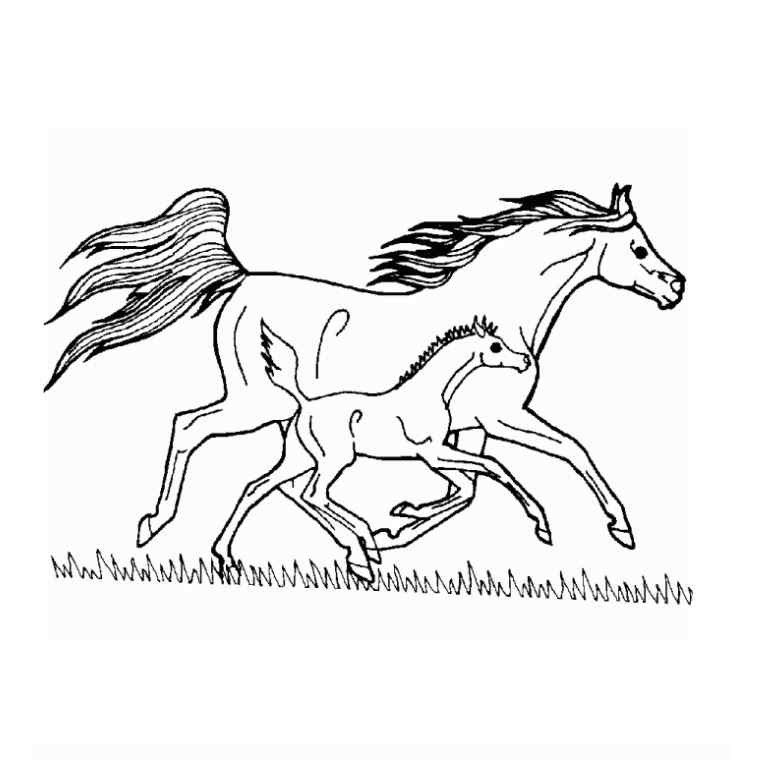 Dessin Coloriage Cheval De Luxe Chevaux Au Galop Qui tout Coloriages De Chevaux