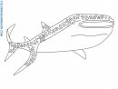 Dessin De Coloriage Baleine À Imprimer - Cp02714 pour Coloriage Baleine A Imprimer Gratuit