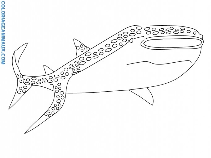 Dessin De Coloriage Baleine À Imprimer – Cp02714 pour Coloriage Baleine A Imprimer Gratuit
