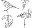 Dessin De Coloriage Polygonal Divers Oiseaux | Art avec Coloriage Oiseaux A Imprimer