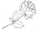 Dessin De Rose En Noir Et Blanc Facile serapportantà Rose Facile A Dessiner