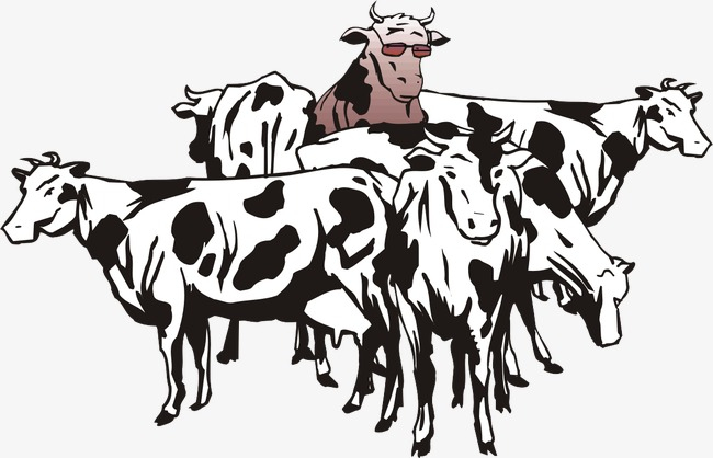 Dessin Dessin Un Troupeau De Vaches Vaches Laitières Image dedans Dessin D Une Vache