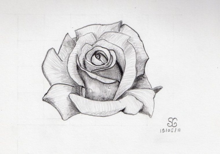 Dessin D'Une Rose – Mes Passions Créatives, Par Sosomonotone encequiconcerne Rose Facile A Dessiner