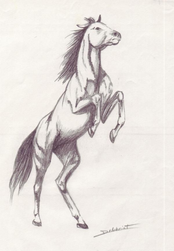 Dessin En Couleurs À Imprimer : Animaux – Cheval Numéro destiné Dessin À Imprimer De Chevaux Dessin En Couleurs À Imprimer : Animaux – Cheval Numéro destiné Dessin À Imprimer De Chevaux