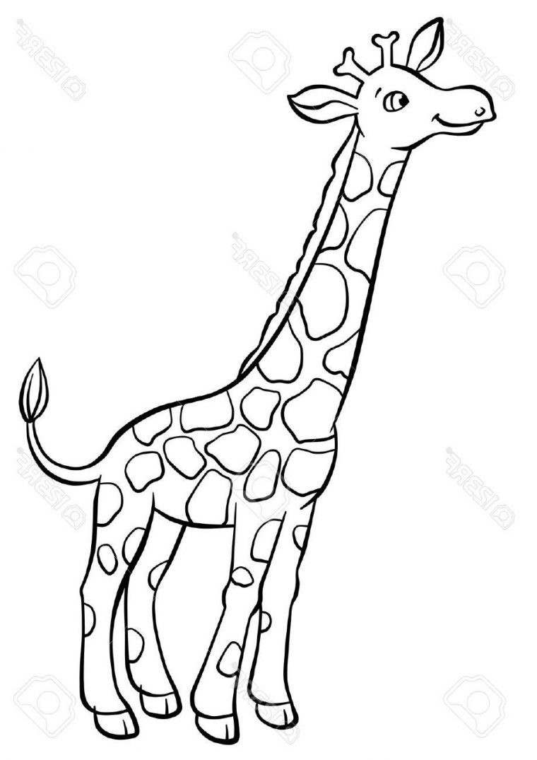 Dessin Facile De Girafe dedans Dessin Girafe Simple