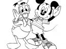 Dessin Mickey | Coloriages Mickey Gratuit - Az Coloriage destiné Dessin Minnie À Imprimer