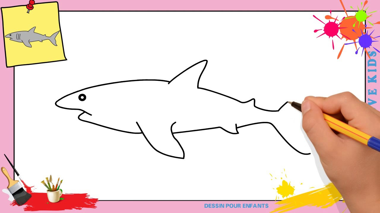 Dessin Requin 3 Facile - Comment Dessiner Un Requin dedans Etapes Pour Dessiner Facilement Des Tulipes