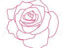 Dessin Rose Blanche - Photo De Fleur : Une Pensee Fleuriste encequiconcerne Dessin De Rose A Imprimer