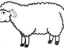 Dessin Shaun Le Mouton intérieur Dessin De Brebis