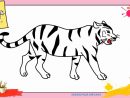 Dessin Tigre 3 Facile - Comment Dessiner Un Tigre destiné Image De Dessin A Dessiner