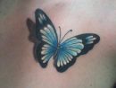 Dessin Uage Papillon Couleur | Cochese Tattoo avec Dessin De Papillon En Couleur
