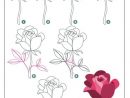 Dessiner Une Rose | Dessin Rose, Comment Apprendre A avec Rose Facile A Dessiner