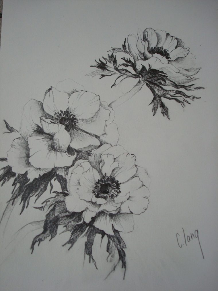 Dessins De Fleurs | Clang Artiste Peintre destiné Dessin De Fleure