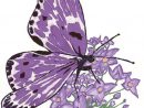 Dessins En Couleurs À Imprimer : Papillon, Numéro : 24989 concernant Dessin De Papillon En Couleur