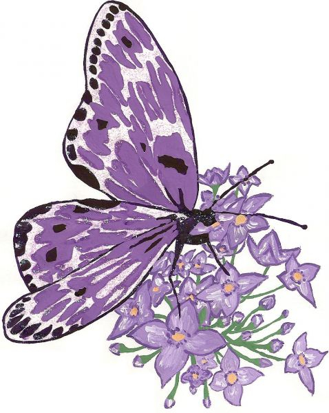 Dessins En Couleurs À Imprimer : Papillon, Numéro : 24989 concernant Dessin De Papillon En Couleur