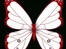 Dessins En Couleurs À Imprimer : Papillon, Numéro : 616501 concernant Dessin De Papillon En Couleur