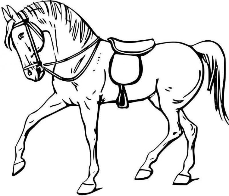 Dessins Gratuits À Colorier – Coloriage Chevaux À Imprimer tout Dessin À Imprimer De Chevaux Dessins Gratuits À Colorier – Coloriage Chevaux À Imprimer tout Dessin À Imprimer De Chevaux
