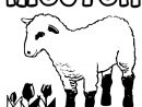 Dessins Gratuits À Colorier - Coloriage Mouton À Imprimer encequiconcerne Dessin Mouton Rigolo