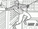 Dessins Gratuits À Colorier - Coloriage Spiderman À Imprimer concernant Dessin A Imprimer Spiderman 4