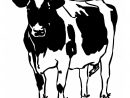 Dessins Gratuits À Colorier - Coloriage Vache À Imprimer serapportantà Dessin D Une Vache
