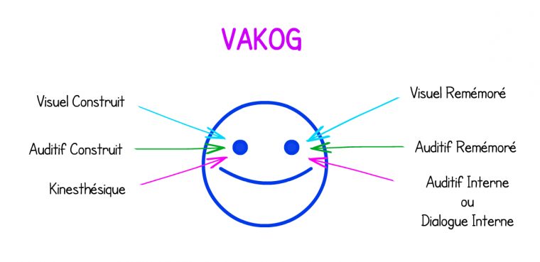 Déterminer Votre Profil D’apprentissage Avec Le Vakog serapportantà Le Canal Auditif