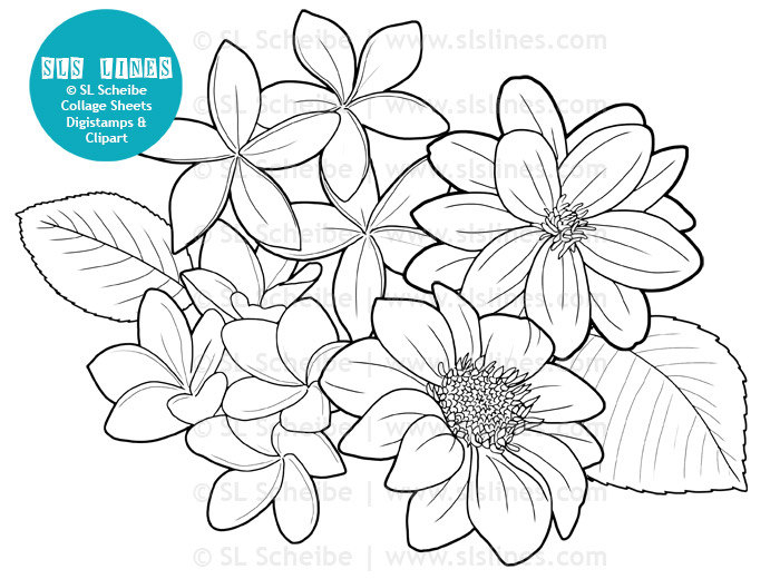 Digistamp Dahlias De Fleurs Coloriage Numérique Timbre | Etsy avec Coloriage Numérique Digistamp Dahlias De Fleurs Coloriage Numérique Timbre | Etsy avec Coloriage Numérique
