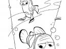 Dory And Nemo Coloring Page | Free Printable Coloring Pages encequiconcerne Coloriage Finding Dory