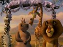 Dreamworks Animation Countdown 17: Madagascar: Escape 2 encequiconcerne Madagascar Escape 2 Africa Alex And Marty Feet