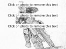 Dsc6951 1 Coloring Pages - Printable &amp; Free - Motorcycle encequiconcerne Coloriage De Moto Cross