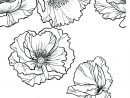 Épinglé Sur Coloriage Fleurs Et Plantes - Flowers And avec Carnet Coloriage Adulte