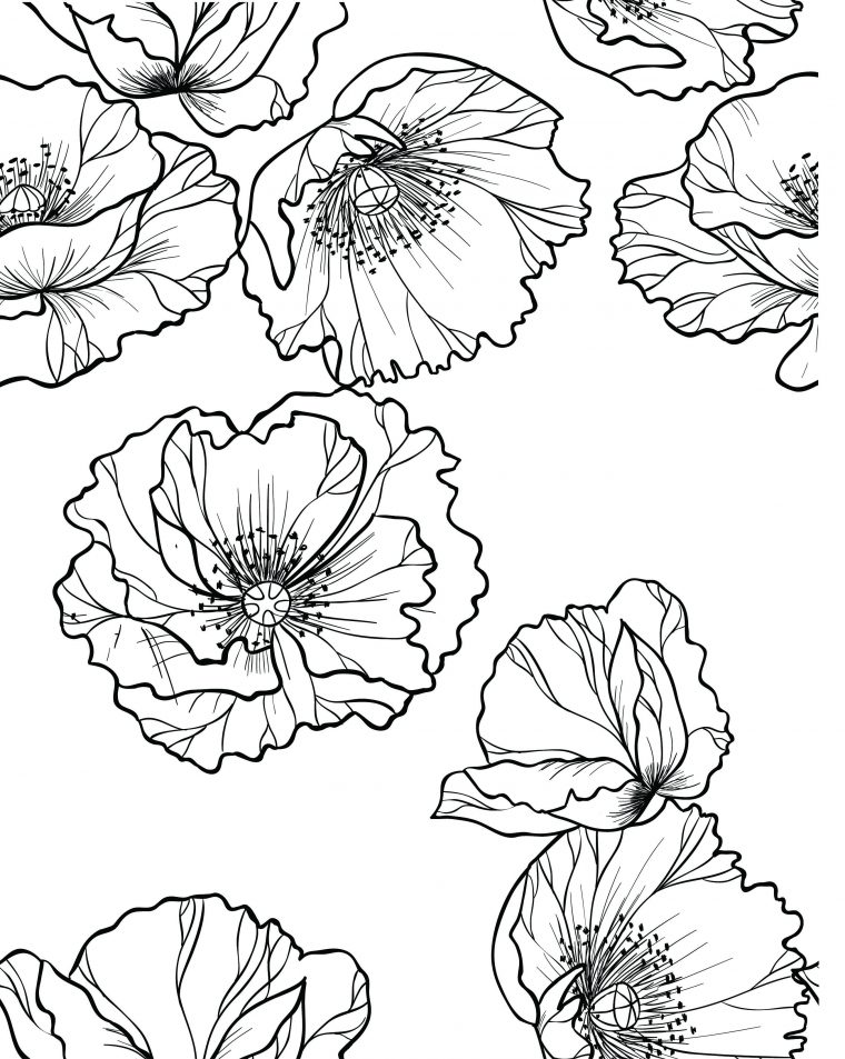 Épinglé Sur Coloriage Fleurs Et Plantes – Flowers And avec Carnet Coloriage Adulte