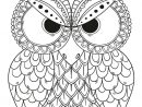 Épinglé Sur Coloriages De Hiboux Pour Adulte - Owl Adult à Coloriage À Gratter Adulte
