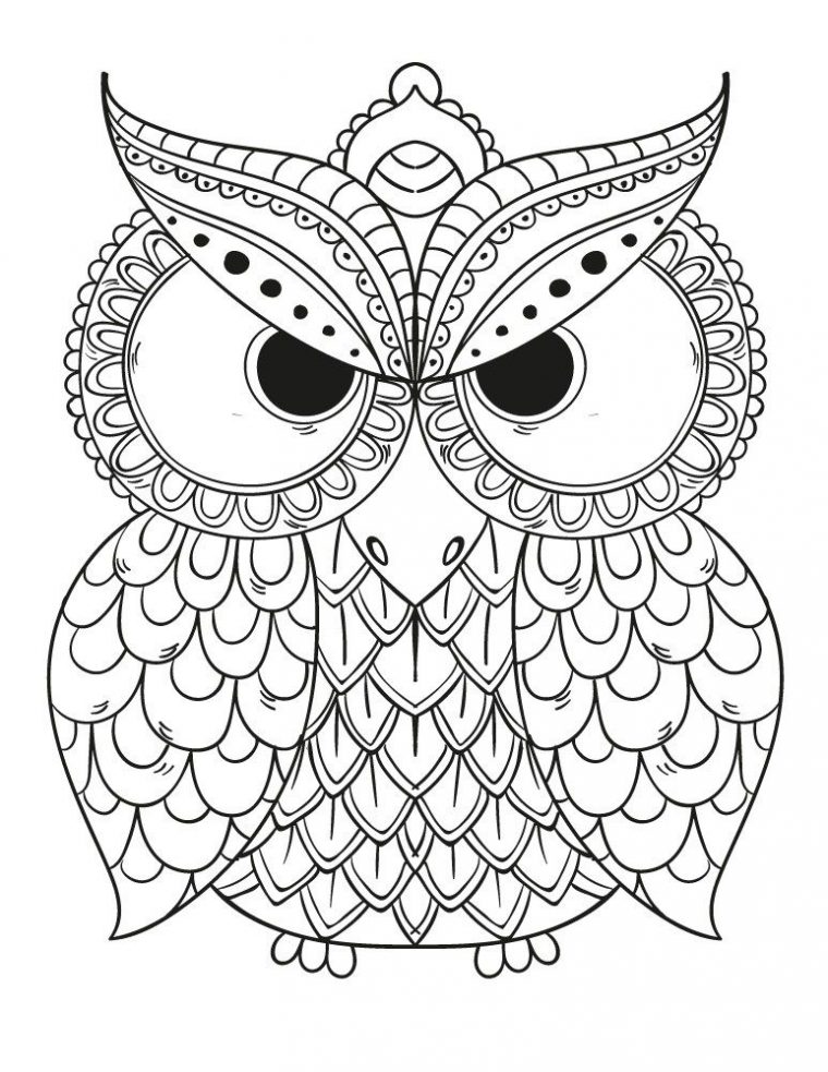 Épinglé Sur Coloriages De Hiboux Pour Adulte – Owl Adult à Coloriage À Gratter Adulte