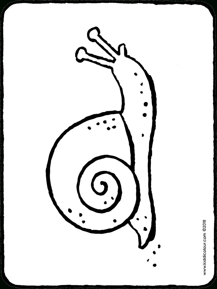 Escargot – Kiddicoloriage à Photo Escargot A Imprimer