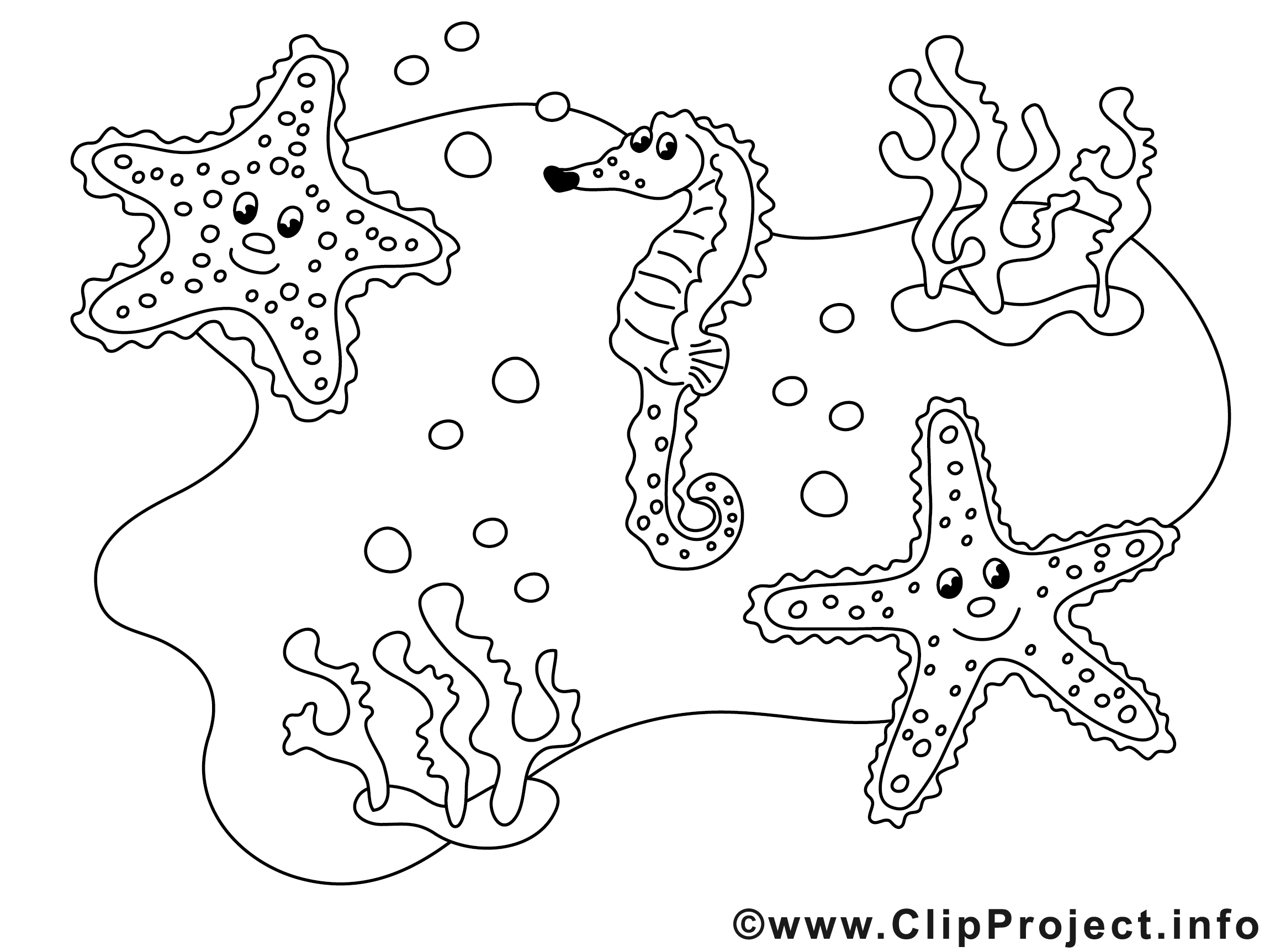 Étoiles De Mer Dessin – Animal Gratuits À Imprimer pour Coloriage Etoile De Mer
