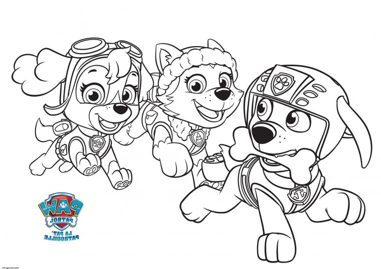Everest Et Stella Courent Apres Zuma Pat Patrouille Min encequiconcerne Coloriage En Ligne Pat Patrouille