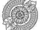 Facile Mandala Fleurs Et Papillon Coloriage Mandalas Of tout Dessin Rosace Fleur