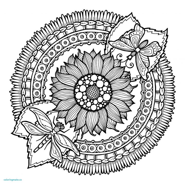 Facile Mandala Fleurs Et Papillon Coloriage Mandalas Of tout Dessin Rosace Fleur Facile Mandala Fleurs Et Papillon Coloriage Mandalas Of tout Dessin Rosace Fleur