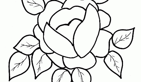 Fleur Rose Dessin Inspirant Image Coloriage D Une Grosse pour Coloriage D Une Rose