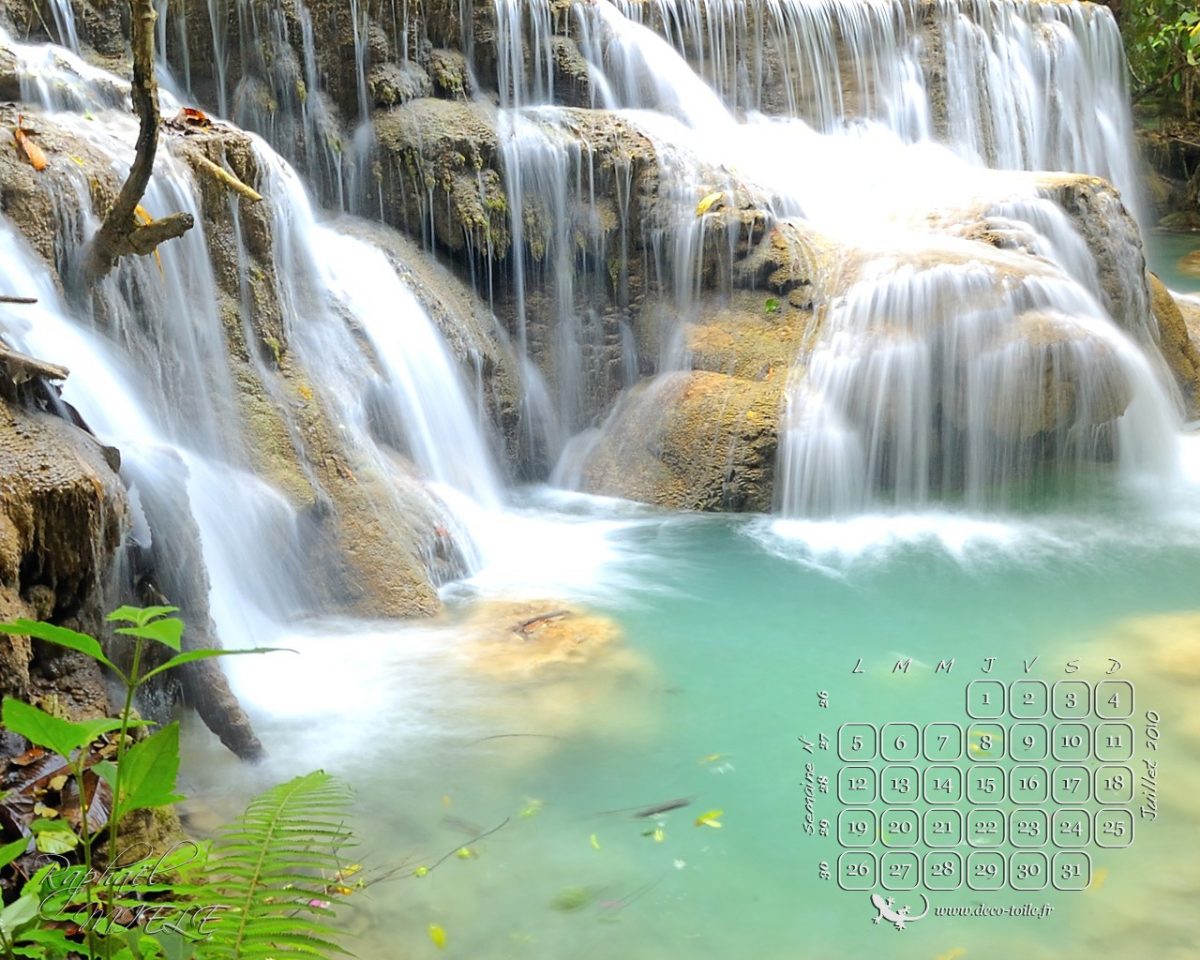 Fond D'?Cran Gratuit Avec Des Oiseaux - GreatestColoringBook.com