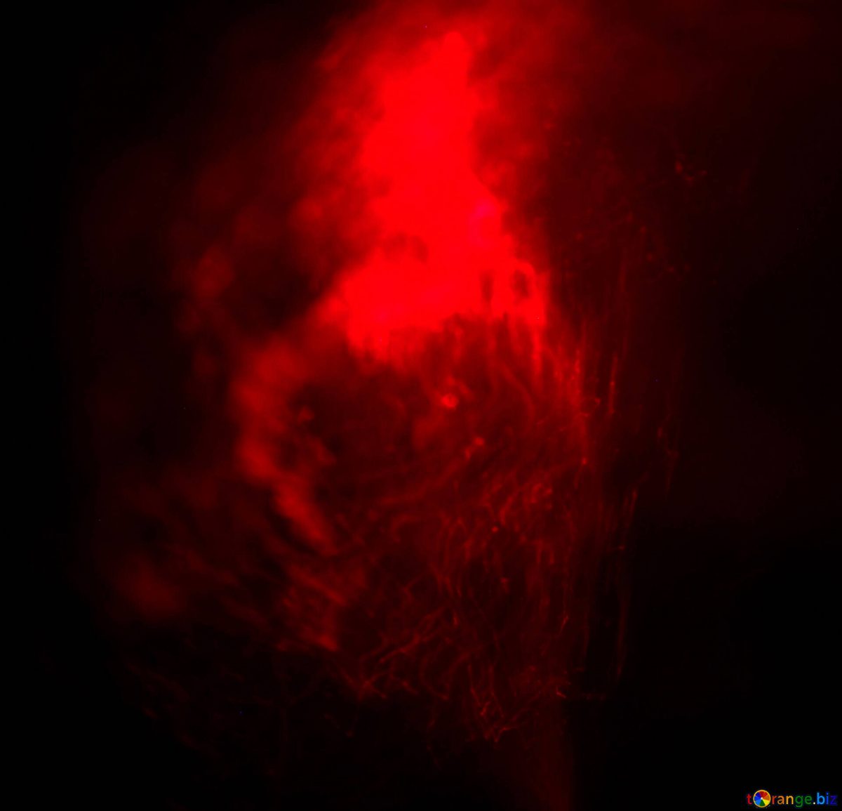 Fond Rouge Fond Rouge Feu Fonds D'Écran № 25851 intérieur Bogi