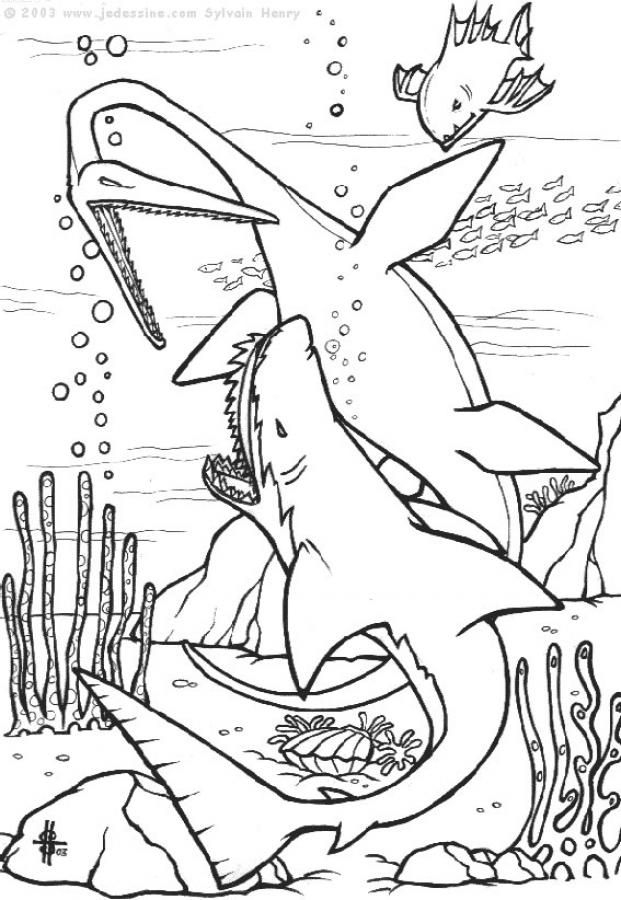 Free Printable Shark Coloring Pages For Kids | Dinosaur tout Coloriag