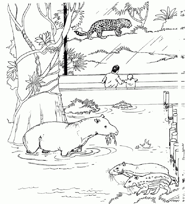 Free Printable Zoo Coloring Pages For Kids destiné Coloriage De Zoo