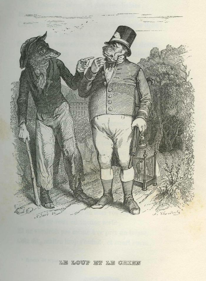 Galerie Photos – Fables – La Fontaine | Etonnants tout La Grenouille Qui Veut Se Faire Aussi Grosse Que La Vache Pdf